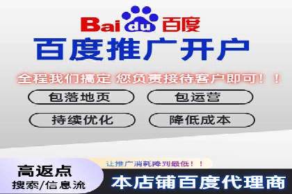 深入解析sem代运营推广公司的成功策略及效果
